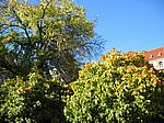 Herbst in Berlin