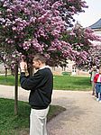 Pillnitz