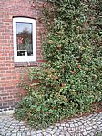 Mölln - Herzogtum Lauenburg