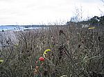 Timmendorfer Strand