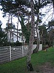 Timmendorfer Strand