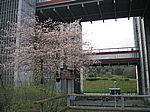 Scharnebeck