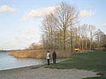 Zarrentin