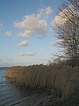 Zarrentin
