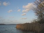 Zarrentin