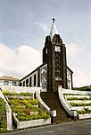 Cedros