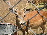 Besuch im Tierpark