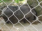 Besuch im Tierpark