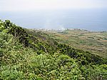 Carapacho