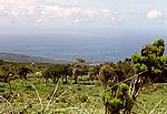 Blick von den Hängen des Pico nach Sao Jorge