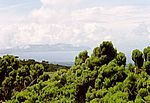 Blick von den Hängen des Pico nach Sao Jorge