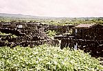 Zone das Adegas - Gebiet der Weinkeller