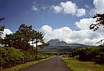 Pico Alto 2351 m