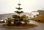 Baia da Praia
