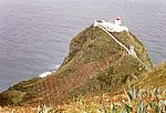 Ponta do Castelo