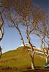 Senhora de Fatima