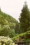 Parque das Sete Fontes