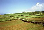 Sao Miguel - Südwesten