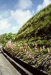 Sao Miguel - Südwesten