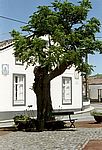 Sao Miguel - Südwesten