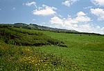 Sao Miguel - Südwesten