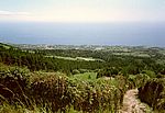 Sao Miguel - Südwesten