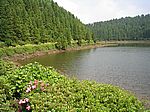 Sao Miguel - Südwesten
