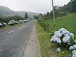 Sao Miguel - Südwesten