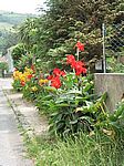 Sao Miguel - Südwesten
