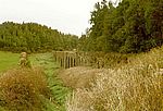 Sao Miguel - Südwesten