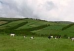 Sao Miguel - Mitte