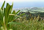 Sao Miguel - Mitte