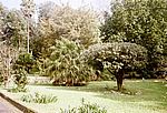 Ponta Delgada