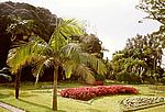 Ponta Delgada