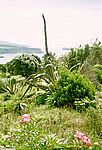 Sao Miguel - Süden