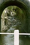 Sao Miguel - Süden
