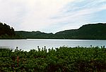 Furnas
