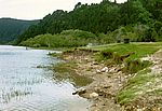 Furnas