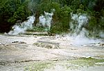Furnas