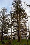 Furnas