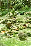 Furnas