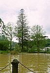 Furnas