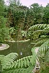 Furnas
