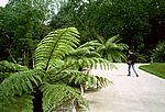 Furnas