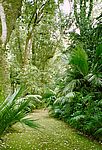 Furnas