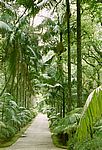 Furnas