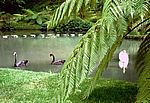Furnas