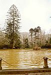 Furnas