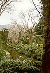 Furnas
