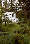 Furnas